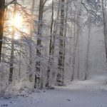 冬の季語一覧